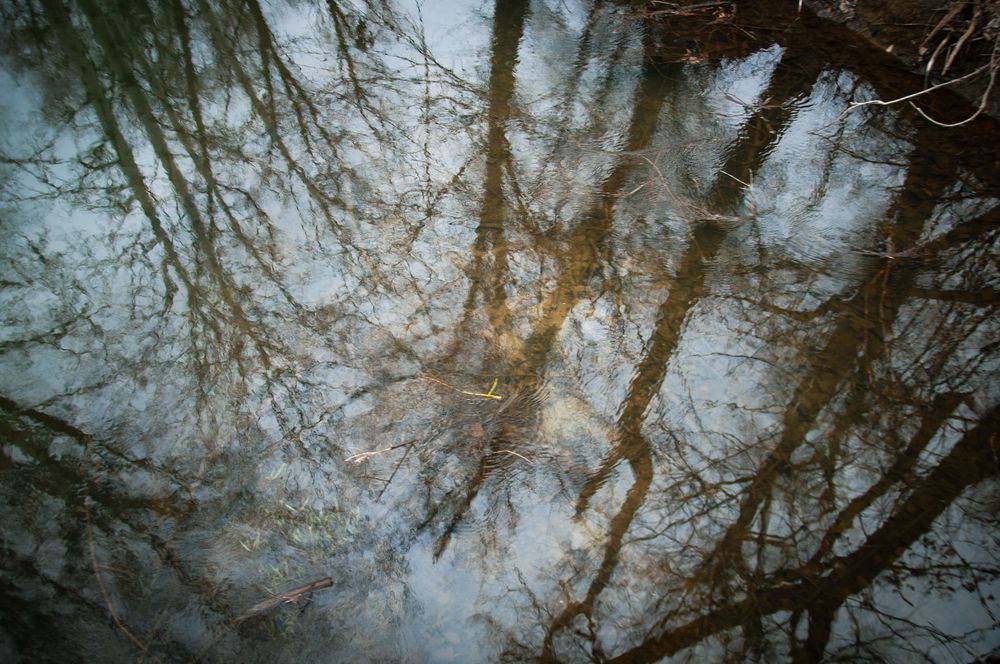 Фотография автора Светлана Поливанова