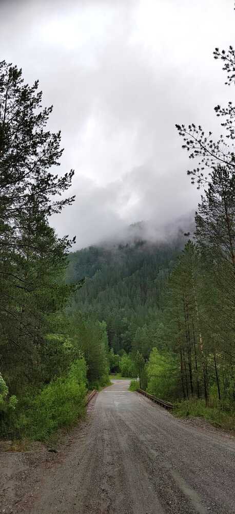 Photograph by Алина