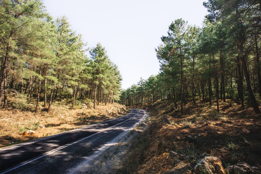 Photograph by TheVanya43