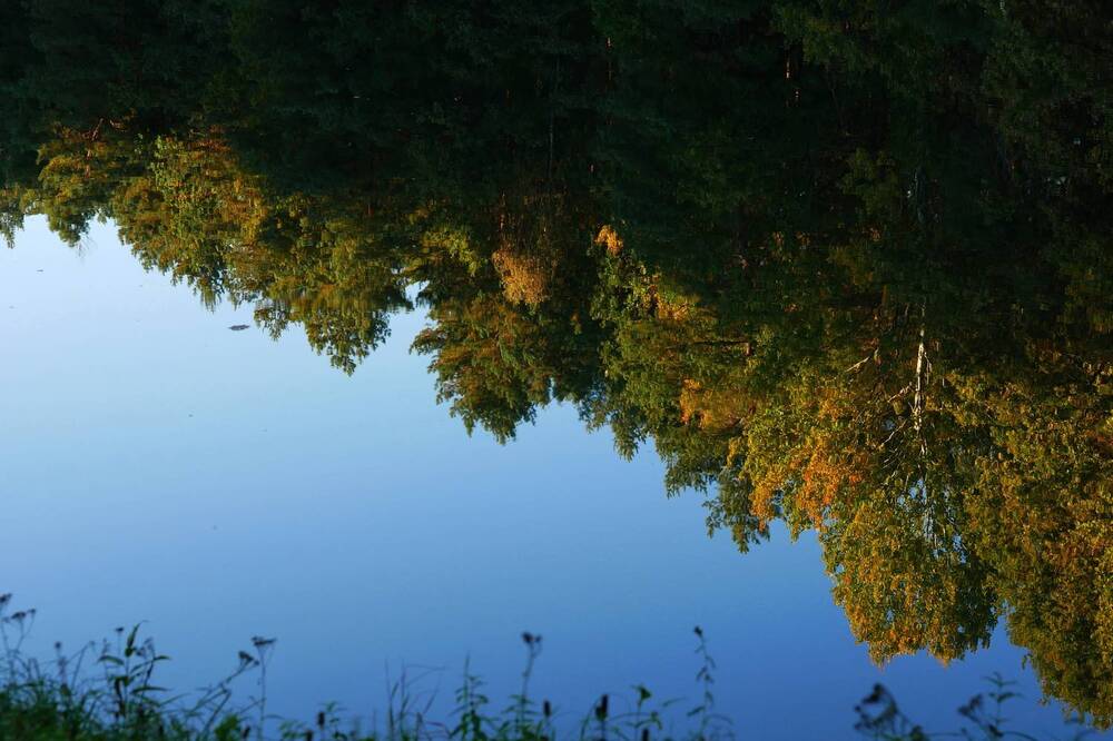 Photograph by Наталья Лобанова