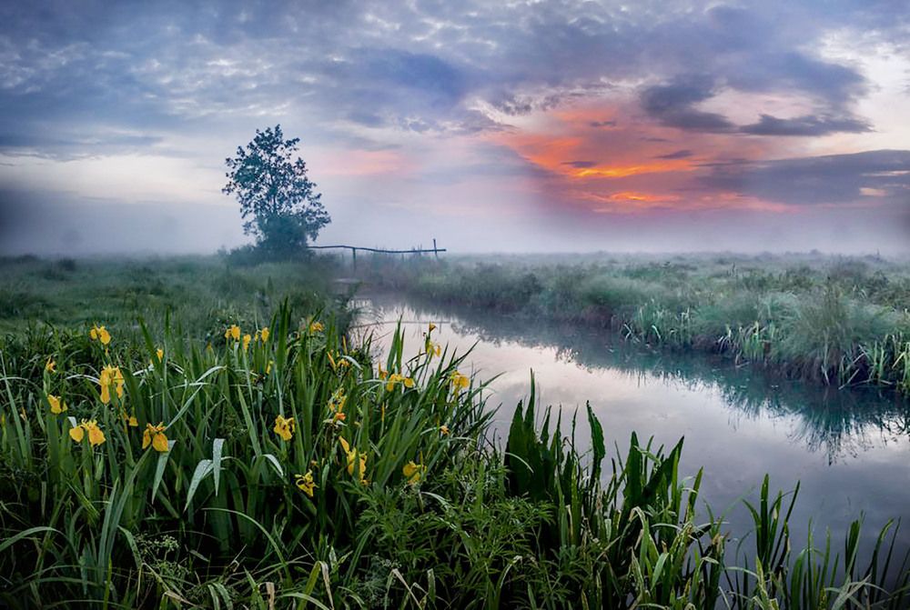 Photograph by Борис Абрамов