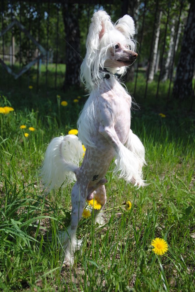 Прогулка в парке