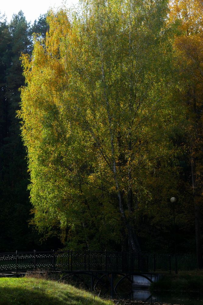 Photograph by Наталья Лобанова