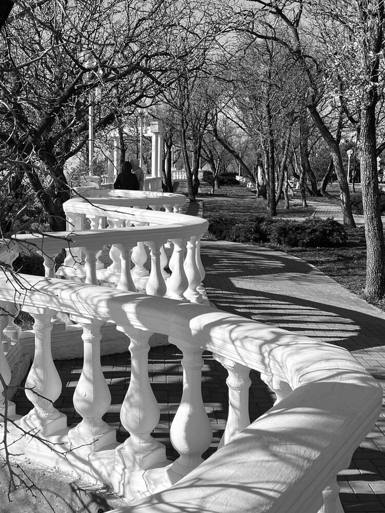 ДНК Геленджика.