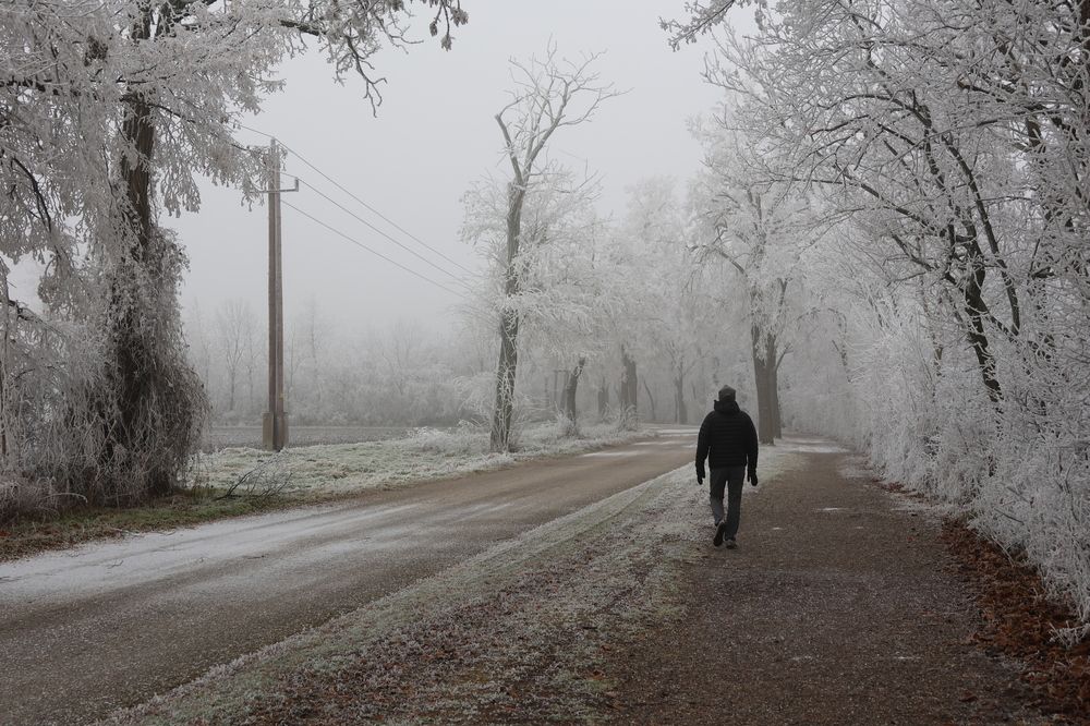 Photograph by Eva Wiedemann