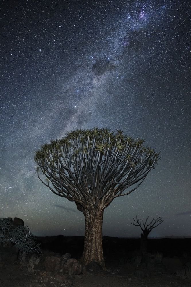 Photograph by Даниил Хармушко