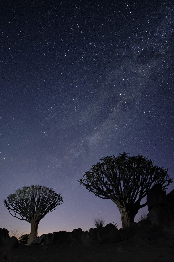 Photograph by Даниил Хармушко