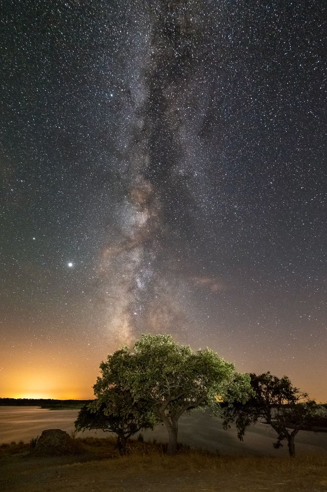 Photograph by Bruno Ribeiro