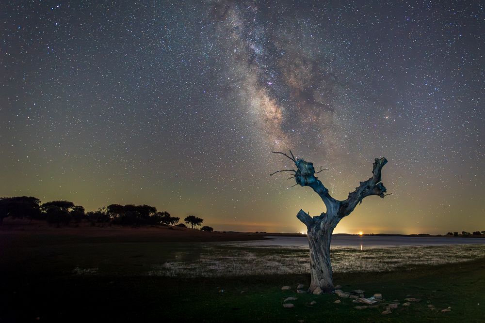 Photograph by Bruno Ribeiro