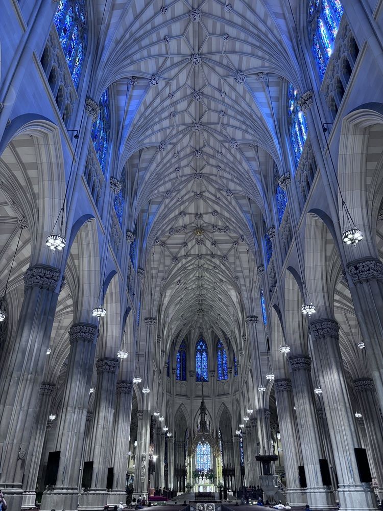 Фотография автора Vishakha Patil