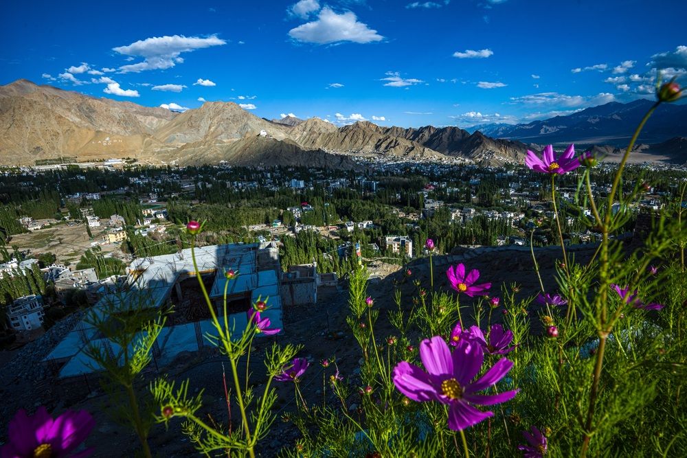 Photograph by Kshitij Patle