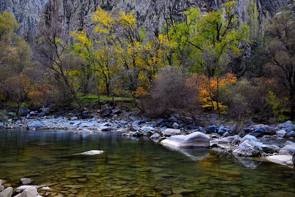 Photograph by Bekir Büyükgöz