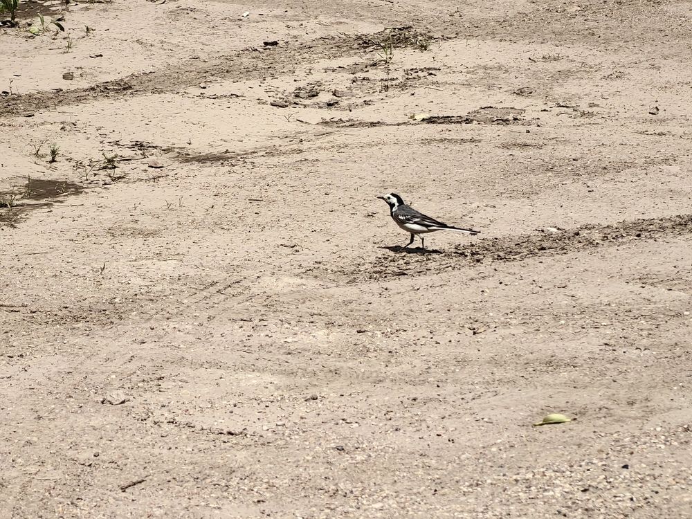 Photograph by Анастасия Моисеева