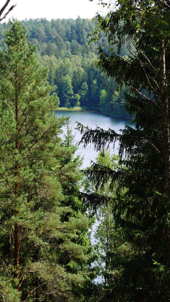 Photograph by Владимир Лобанов