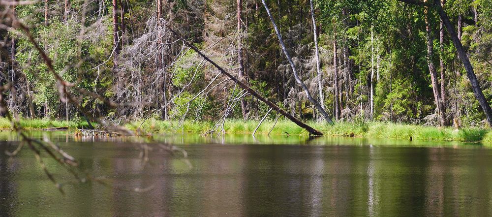 Photograph by Владимир Лобанов
