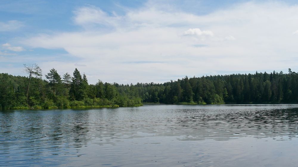 Photograph by Владимир Лобанов