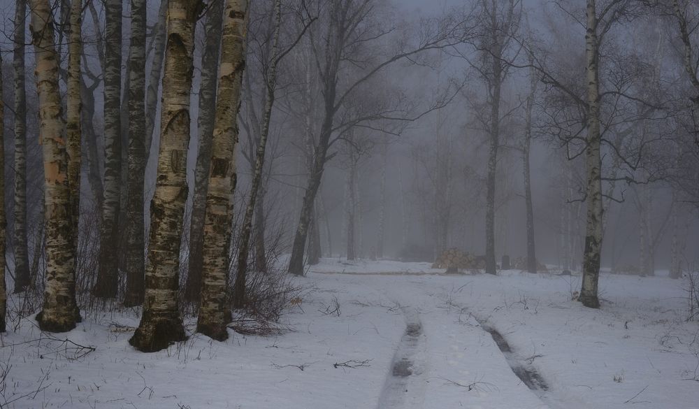 Зимнее утро