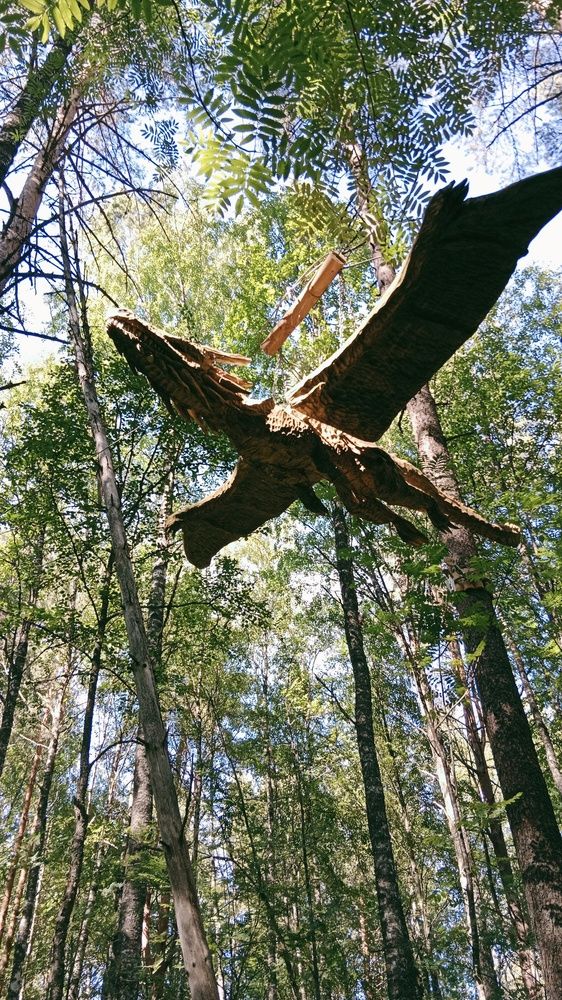 Photograph by Дарья Домбровская
