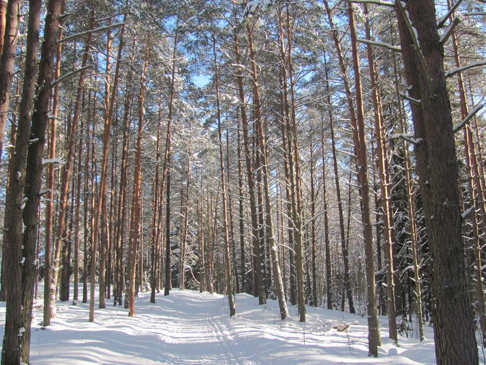 Photograph by Юлия