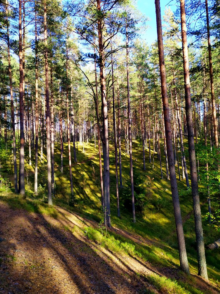 Photograph by Olga Kot