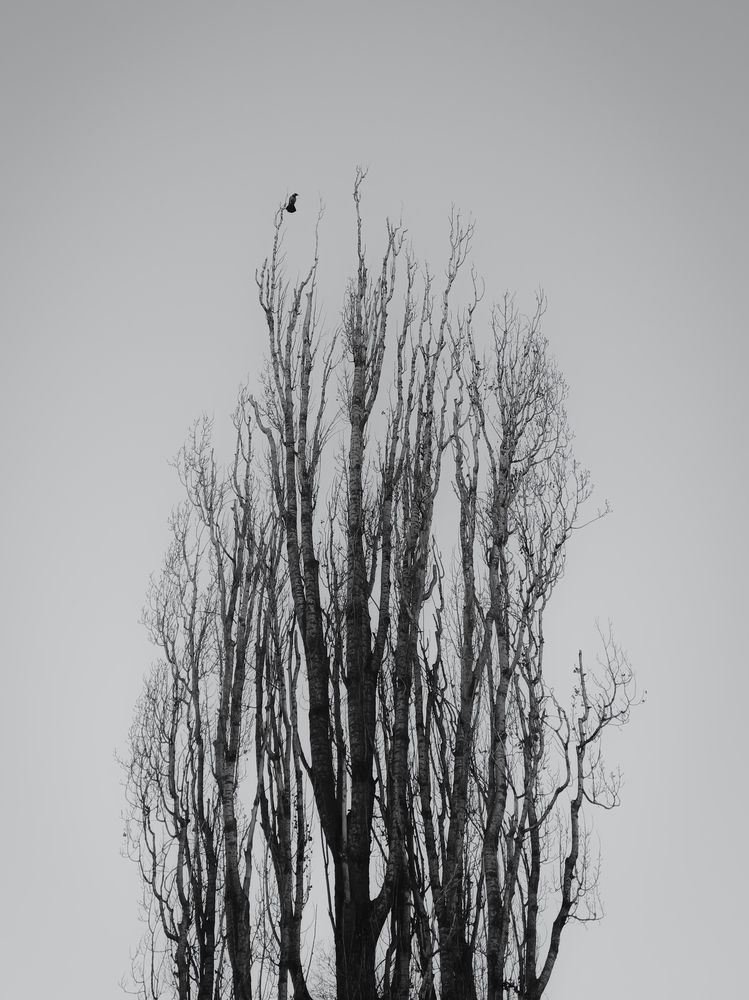 Photograph by Margarita Presidentova