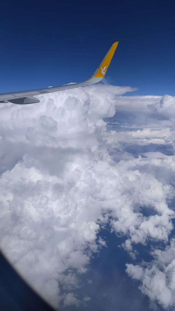 Фотография автора Инесса Ганкина