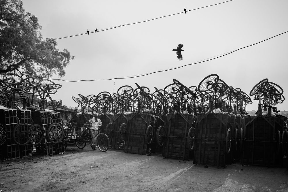 Фотография автора Tathagata Ghosh