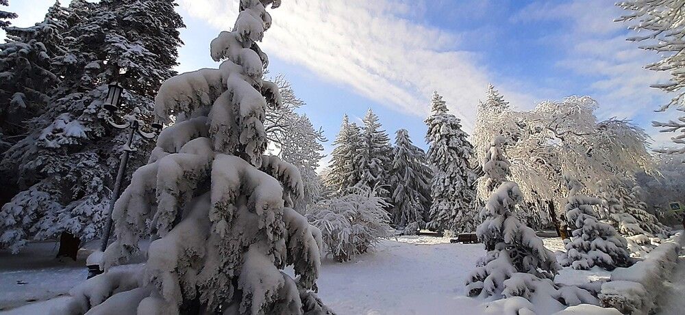 Photograph by Галина Воеводенко