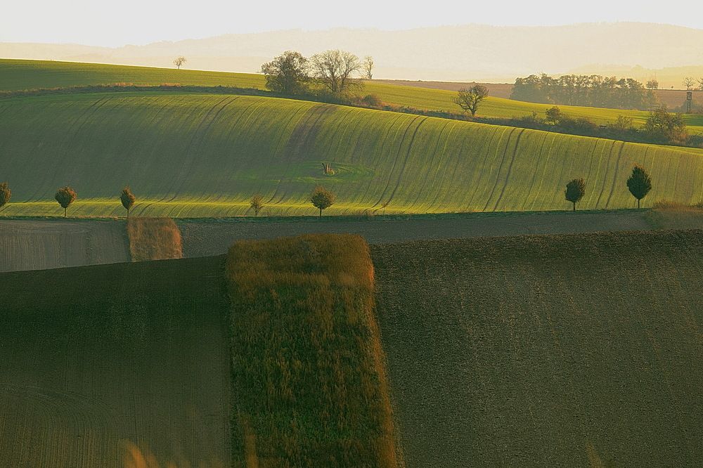 Photograph by Yury Vislaus