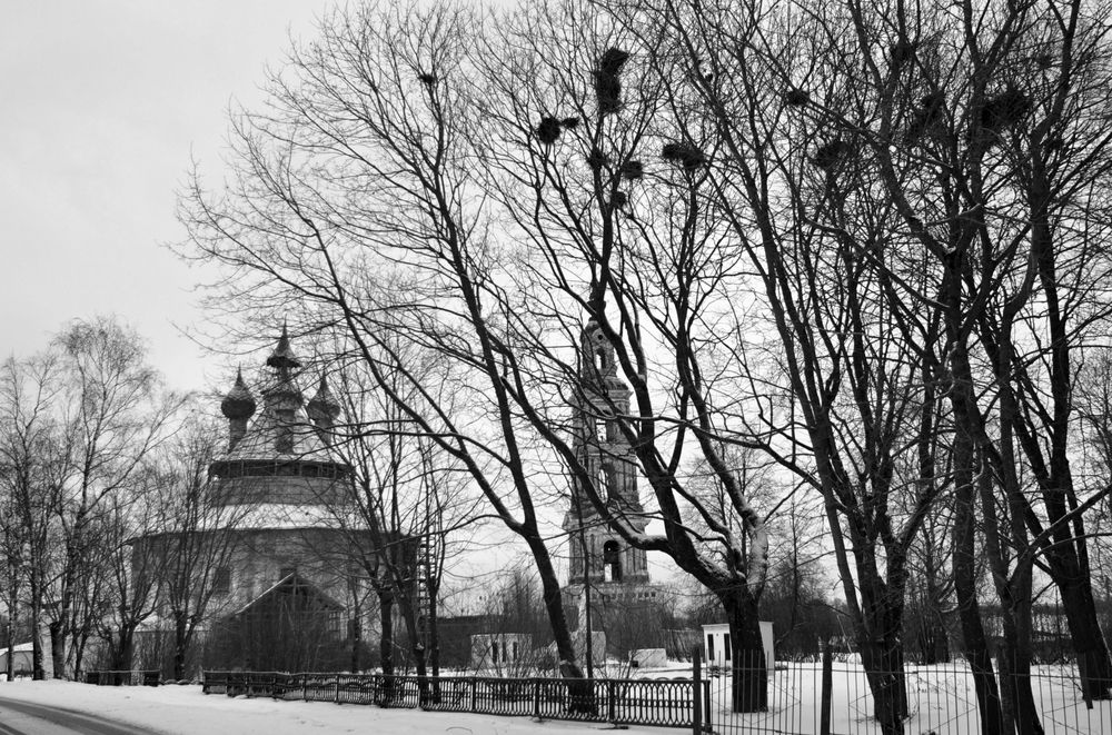 Photograph by Екатерина Молчанова