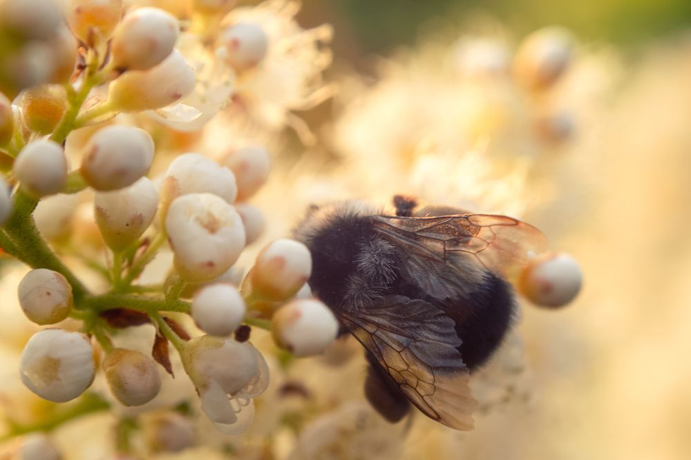 Photograph by Дмитрий Огольцов