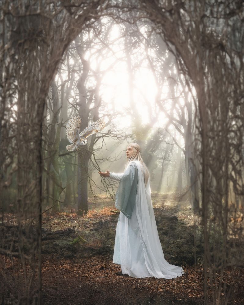 The Lonelyness of the Elves