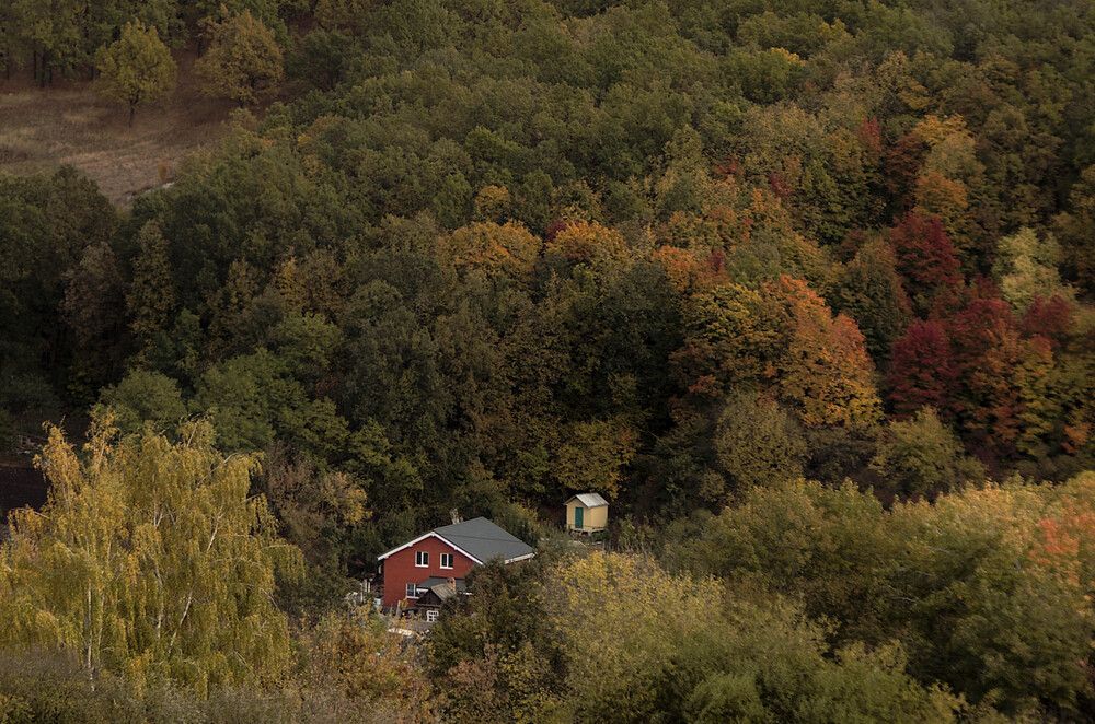 Photograph by Александр Кравченко