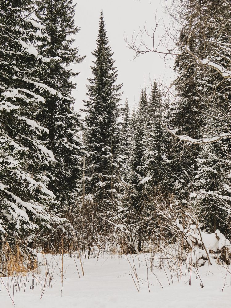 Photograph by Дарья Овсянникова