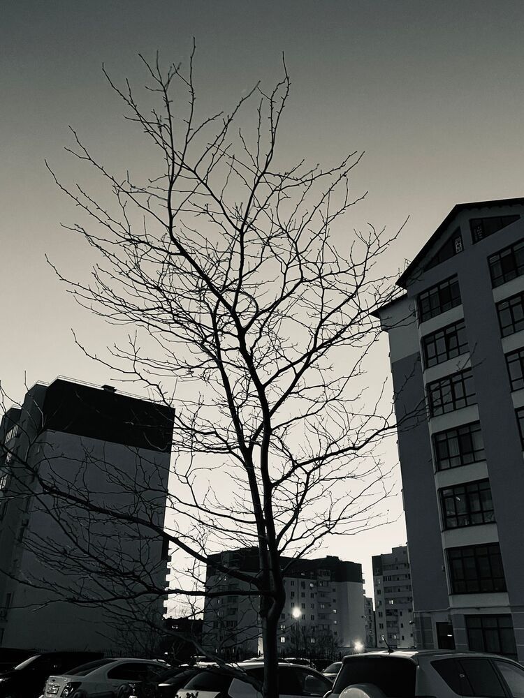 Photograph by Олеся