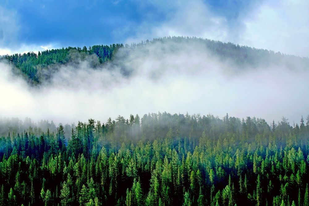 Photograph by ВАСИЛИЙ