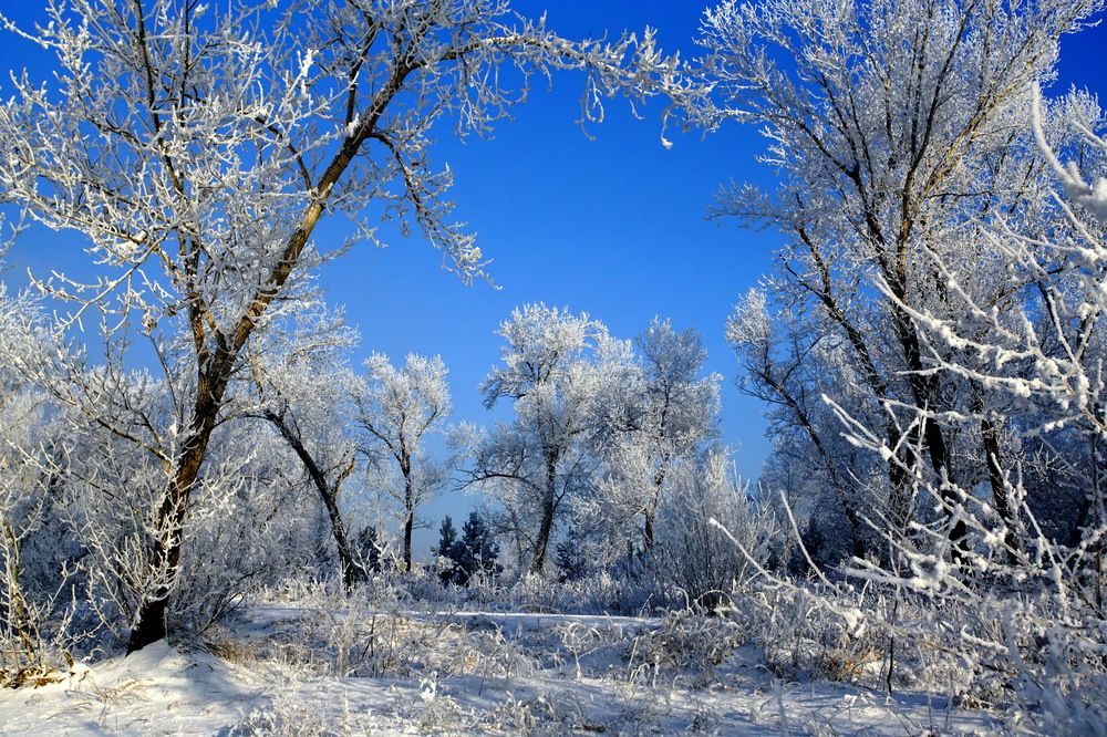 Photograph by ВАСИЛИЙ