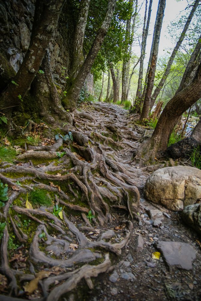 Photograph by Максимова Дария