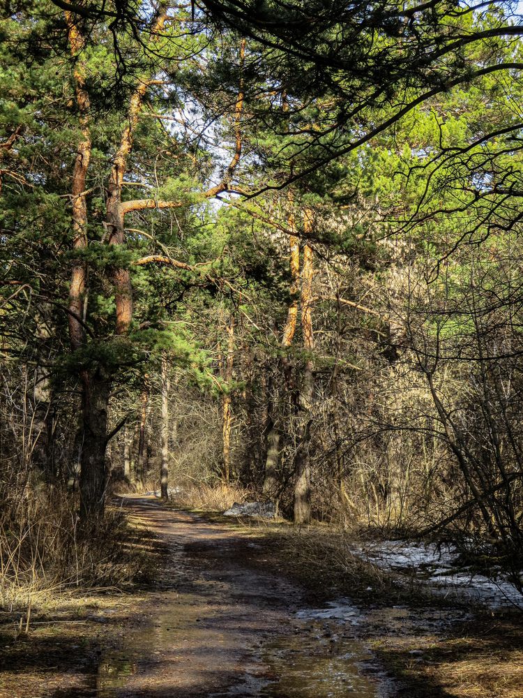 Photograph by Дарья Овсянникова