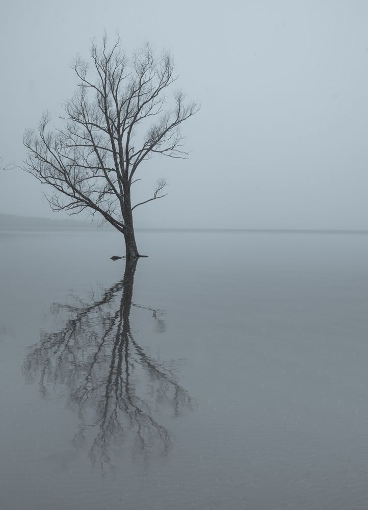 Photograph by Максимова Дария