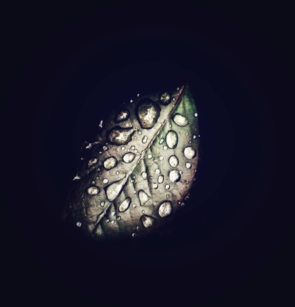 Photograph by Людмила М