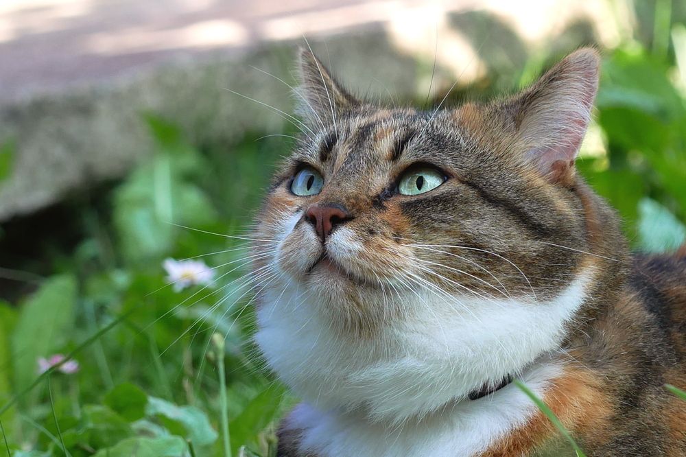 Photograph by Владимир Лобанов