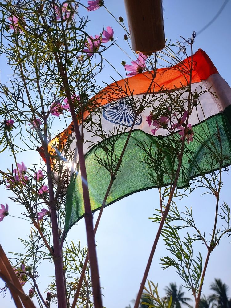 Proudly say I am indian