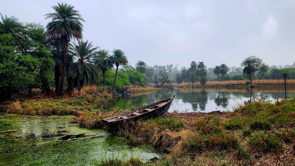 Photograph by G GOVIL