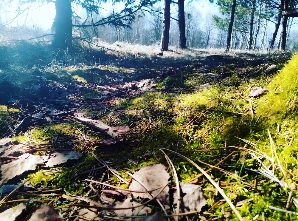 Photograph by Анастасия Бардыкина