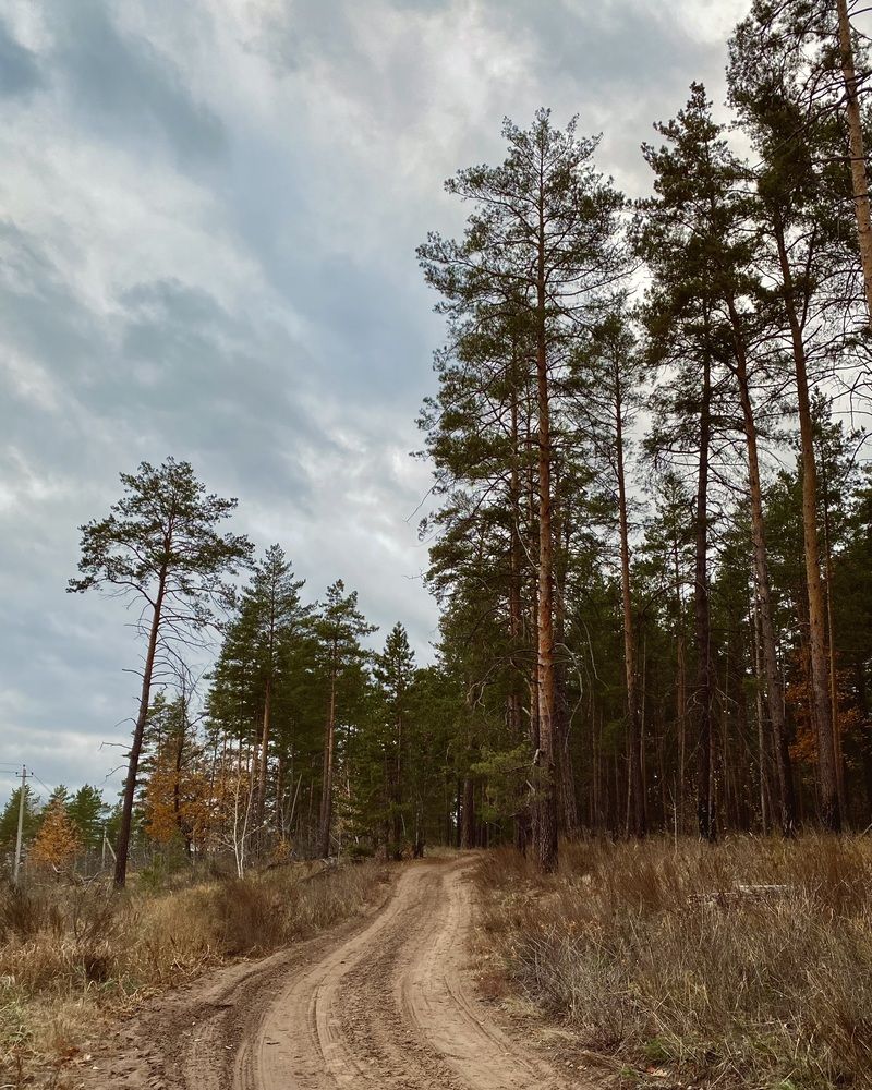 Photograph by Евгения Решетникова