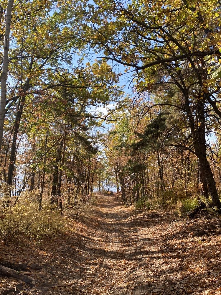 Photograph by Евгения Решетникова