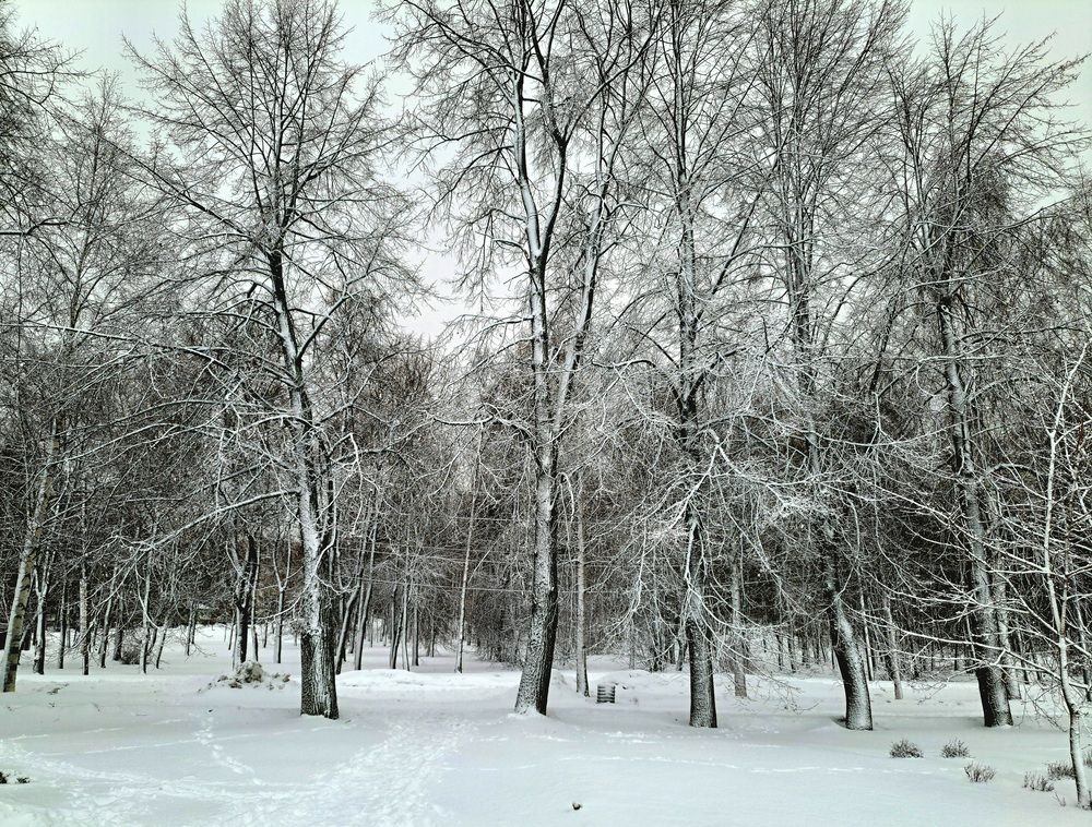 Photograph by Сергей Берез