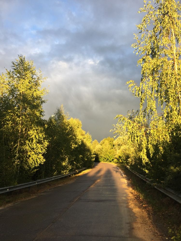 Photograph by Анастасия Бардыкина