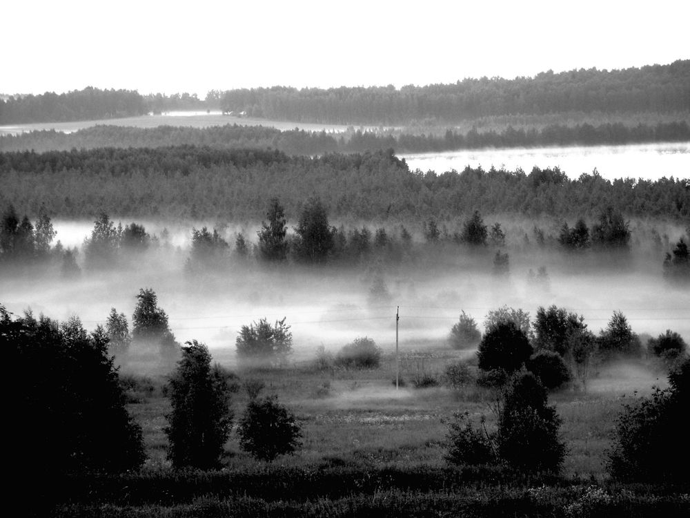 Photo #11833340